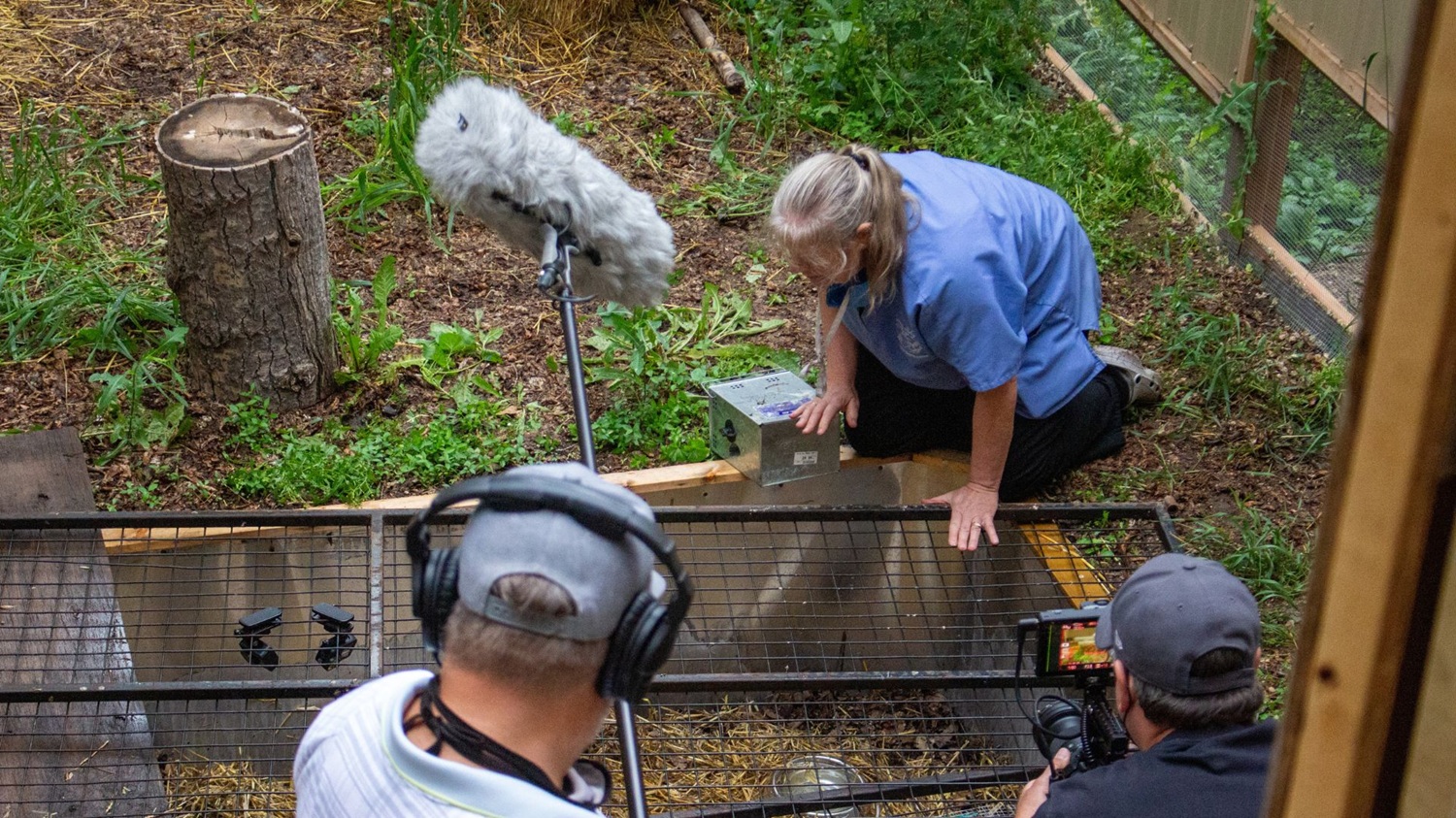 A woman in blue scrubs kneels in front of a cage while two camera men film.